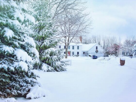 Winter 2025 Property Care on the East End