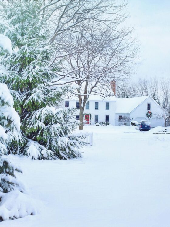 Winter 2025 Property Care on the East End